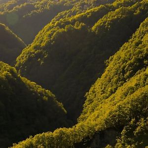 Wild Valley Ticino Vista In Valle Onsernone Auressio Exterior photo