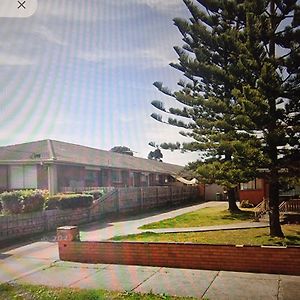 Two Pines, Whole Home In Tullamarine Near Airport! 墨尔本 Exterior photo