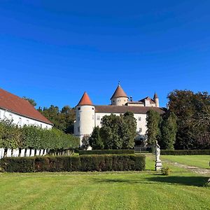 SchwertbergCharming Castle In Austria别墅 Exterior photo