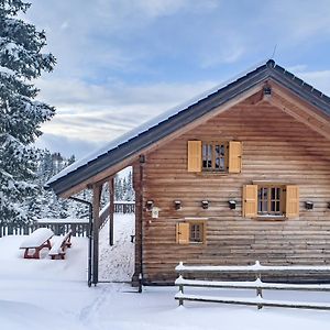 沃尔夫斯堡1A Chalet Koralpenzauber -Ski Fahren, Sauna Und Traumblick别墅 Exterior photo