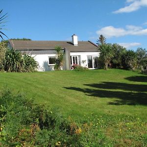 Haus Mit Blick Auf Die Kenmare Bucht Umgeben Von Subtropischer Vegetation - B48742 Ardea Exterior photo