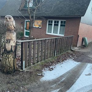 Ferienwohnungen Waldkauz Kroppelshagen-Fahrendorf Exterior photo