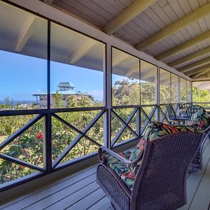 Honomu Home With Screened Lanai And Ocean Views! Pepeekeo Exterior photo