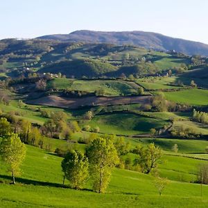 Natura E Relax Nelle Verdi Colline Emiliane Vigolzone Exterior photo