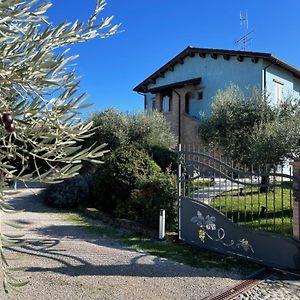 Agriturismo Villa Marta 切塞纳 Exterior photo