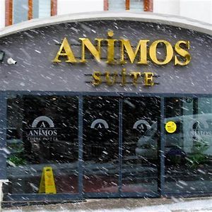 Animos Butik Otel 安卡拉 Exterior photo