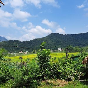 Homestay Field - Bungalow, Tour, Motorbikes Rental 河江 Exterior photo