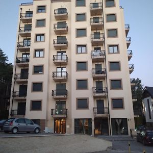 Apartman Lux Jovanovic - Gk 兹拉蒂博尔 Exterior photo