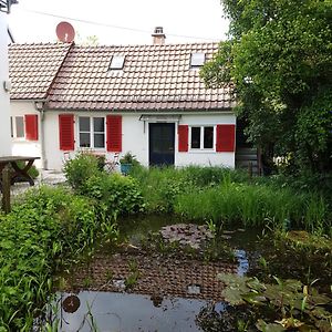 Kl. Cottage Im Grunen, N. S-Bahn 斯图加特 Exterior photo