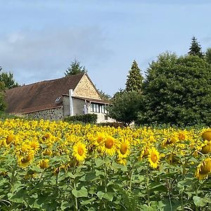 La CoquilleBonnes Routes - 4 Star Gite In The Perigord Vert别墅 Exterior photo