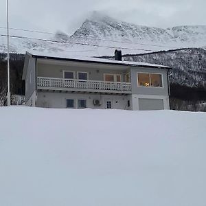 Skogstad Ferie Og Fritid 特罗姆瑟 Exterior photo