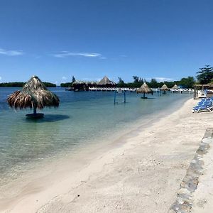 Coral Views Resort - Villa Umami French Harbour Exterior photo