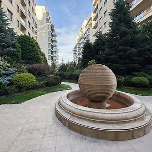 Garden Apartment - Herastrau Park 3Min Walk 布加勒斯特 Exterior photo