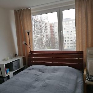 Prague, Lovely Room In Shared Flat. Exterior photo