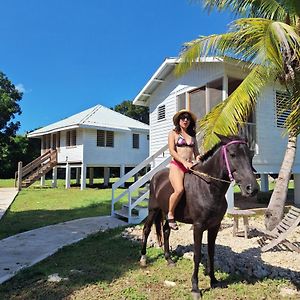 Horse Cottage Sarteneja Exterior photo