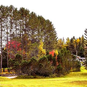 Motel Tremblant 蒙特朗布朗 Exterior photo