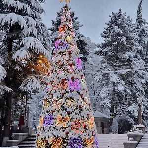 Borjomi Home Exterior photo