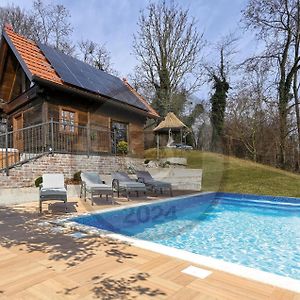Beautiful Home In Gorkovec With Private Swimming Pool, Can Be Inside Or Outside Letovcan Tomasevecki Exterior photo