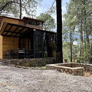 Hermosa Cabana Inmersa En El Bosque De 塔帕尔帕 Exterior photo