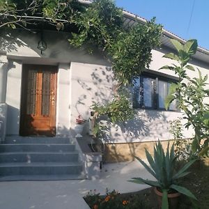 巴亚马雷Casa Cu Trandafiri别墅 Exterior photo