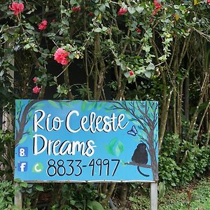 Xxx Blue Paradise - Rio Celeste Dreams 比加瓜 Exterior photo