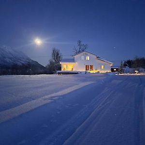 Mountainside Lodge - Breivikeidet 特罗姆瑟 Exterior photo