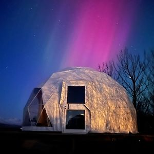 霍尔斯沃德吕尔Aurora Dome On The South Coast公寓 Exterior photo