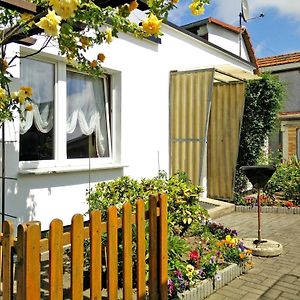 Apartments Greifswalder Chaussee 施特拉尔松德 Exterior photo