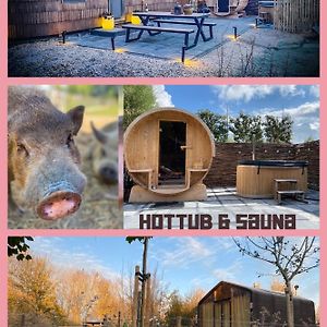 Bed & Wellness Klein Knorrestein With 2 Romantic Sustainable Tiny House, Use Private Hottub, Sauna, Tandembike Included In Price, Just 30 Minutes From Amsterdam 阿尔梅勒 Exterior photo