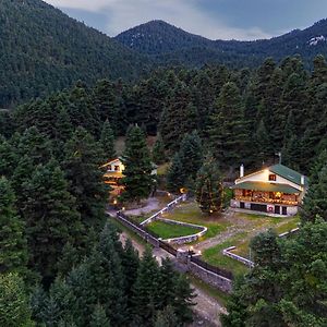 Dandy On The Hill Chalet Artemis - Fir Forest - Jeep & Nature Lovers Eptálofos Exterior photo