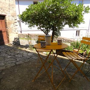 阿米里亚Scappo In Umbria, L'Affaccio公寓 Exterior photo