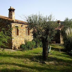 La Acena de la BorregaModern Farmhouse In Valencia De Alc Ntara With Pool别墅 Exterior photo