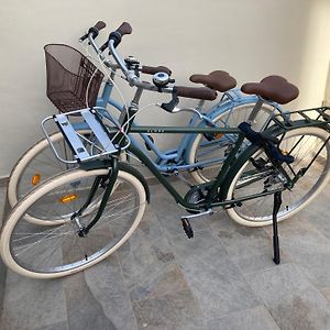 圣佩德罗－德尔皮纳塔尔Casa Pajo - Moderna, Personal Y Con Bicicletas别墅 Exterior photo
