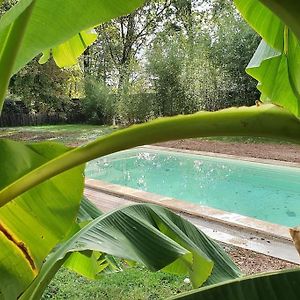 Villa Chic Au Bois Joli Piscine Privee 4 Chambres 4 Kms De Bergerac, Dans Le Perigord Pourpre 朗布拉 Exterior photo