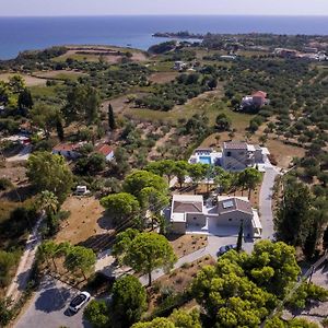 Alekos Beach Houses-Akrotiri Suites Kounopetra Exterior photo