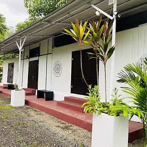 Container Home Puerto Viejo de Talamanca Exterior photo