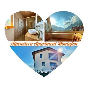 Alpenstern Apartment Montafon 圣加伦基希 Exterior photo