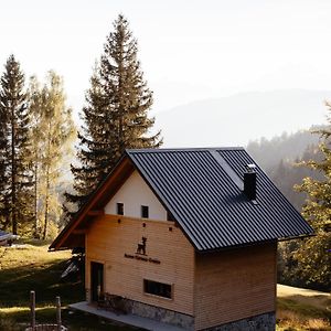 Alpine Cottage Golica 耶塞尼采 Exterior photo