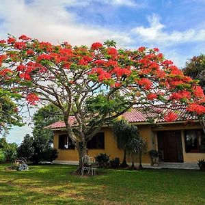 Casa De Campo Perto Do Recanto Maestro Sao Joao do Polesine Exterior photo