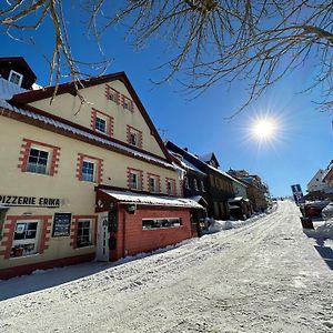 Penzion Erika Boží Dar Exterior photo