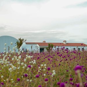 埃武拉Monte De Palma- Quinta Biodinamica Momentos Unicos别墅 Exterior photo