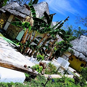 Casa Maya Toh - Alberca - Wifi Starlink -Tour Sostenibilidad 伊萨马尔 Exterior photo