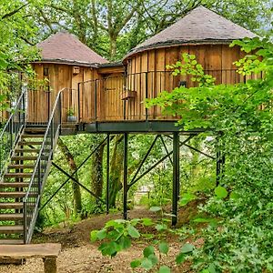 Treehouse In Devon - 2 Bedrooms Beaworthy Exterior photo