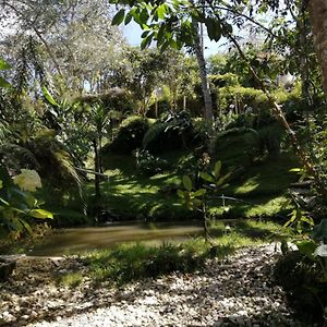 El Bosque De Las Hadas II 圣埃伦娜 Exterior photo