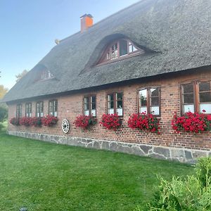 Ferienwohnung Familie Manthei Boitin Resdorf Exterior photo