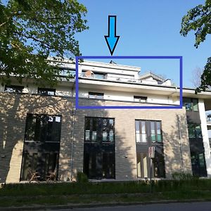 普特布斯Boddenblick-Vilm公寓 Exterior photo