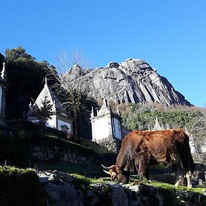 Penedino Mountain Cottage 阿尔库什迪瓦尔德维什 Exterior photo