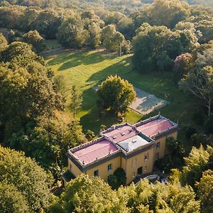 Chateau De Larunque, 15 P, Piscine Jacuzzi Tennis - Plages 30 Mn Saint-Laurent-de-Gosse Exterior photo