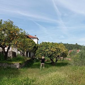 Casa Da Serra, Meio Rural, Vista Maravilhosa 托马尔 Exterior photo