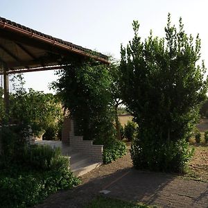 Accogliente Villa Con Piscina 卡尔塔吉罗 Exterior photo